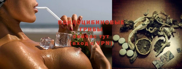 спайс Новодвинск