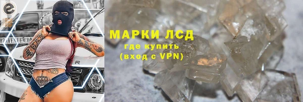 спайс Новодвинск