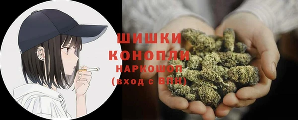 spice Новозыбков