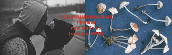 spice Новозыбков