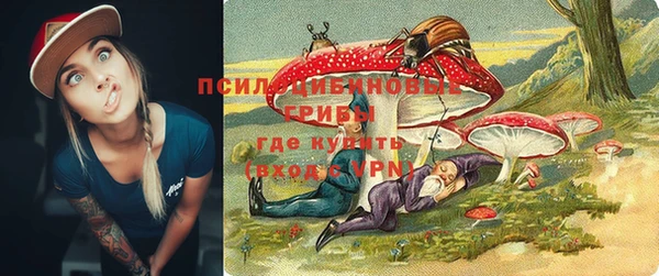 спайс Няндома