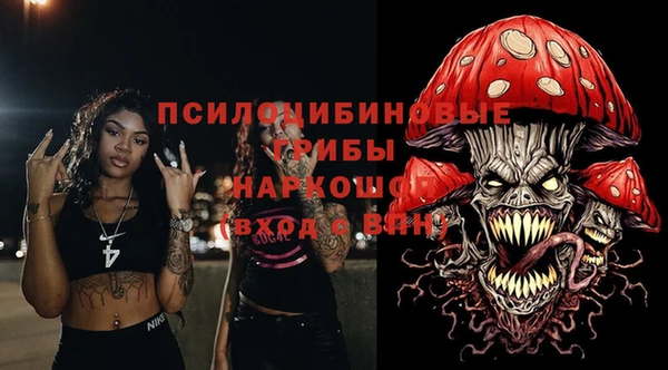 spice Новозыбков
