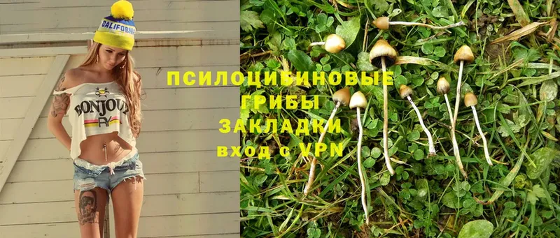 Галлюциногенные грибы Magic Shrooms  дарк нет телеграм  Кизилюрт 