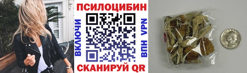 Галлюциногенные грибы Psilocybe  как найти наркотики  Кизилюрт 