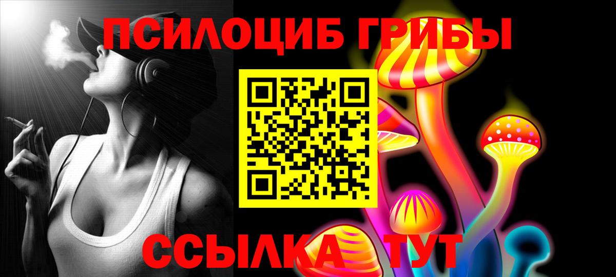 Галлюциногенные грибы Psilocybine cubensis  Кизилюрт 